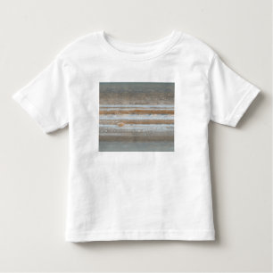 Color map of Jupiter 2 Toddler T-shirt