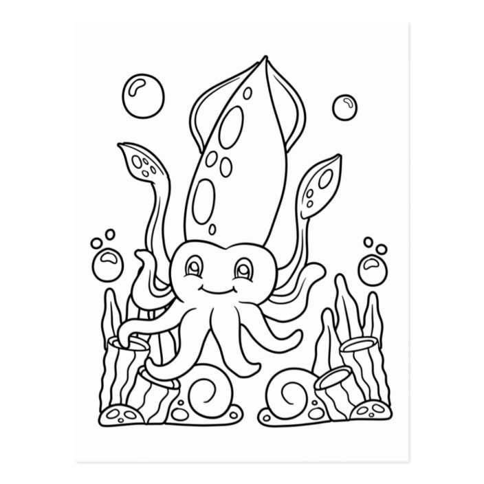 wallpapers Squid Images For Kids zazzle