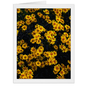 " Color Me Yellow " Cards