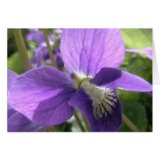 color my soul (Front Horizontal)