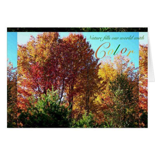 Color of Foliage Cards (Front Horizontal)