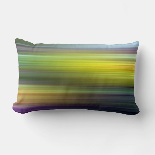 color pattern 5 lumbar pillow (Front)