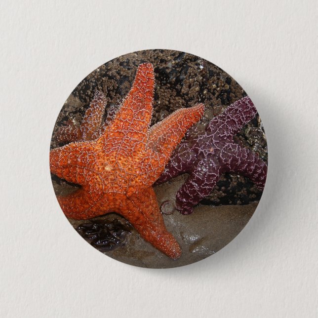 Color Photo of Orange Starfish/Sea Star Button (Front)
