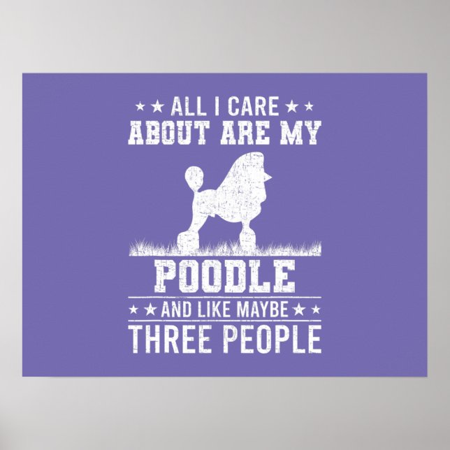  Color Pop Boxer Art Poster (Front)