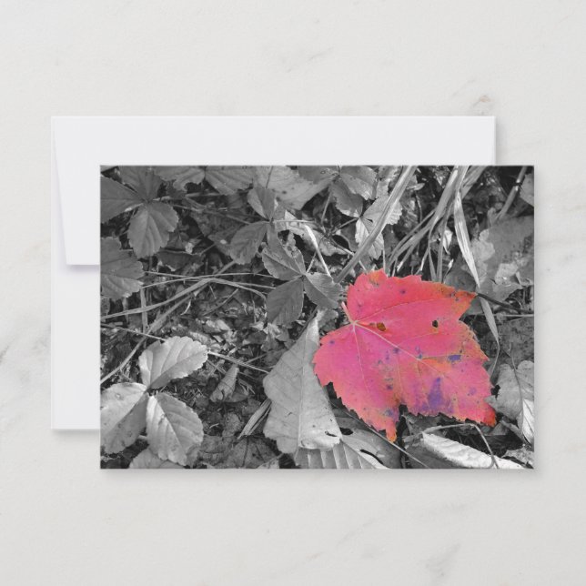 Color Pop Red Leaf Thank You Card (Front)