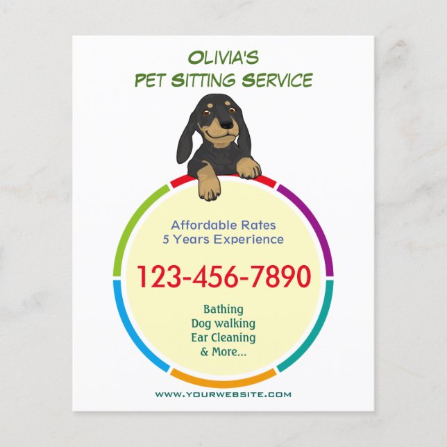 Color Ring Pet Sitter Promotional Flyer (Front)