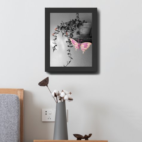 Color Splash Butterfly Still Life Photograph
