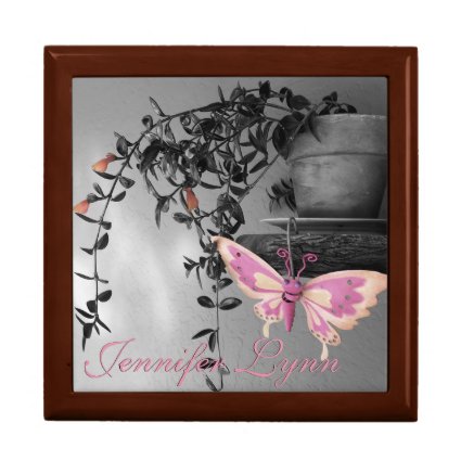 Color Splash Butterfly Still Life Photograph