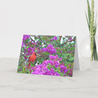 Color Splash Card