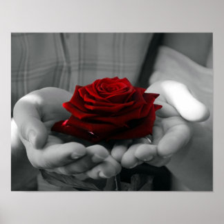 Color Splash Red Rose Poster