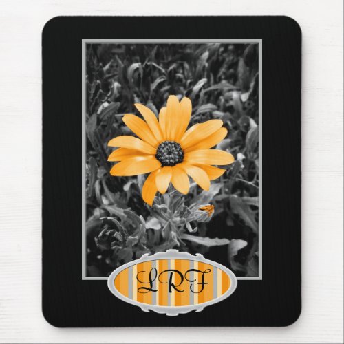 Color Splash Spring Flash African Daisy Photograph Mouse Pad