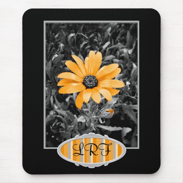 Color Splash Spring Flash African Daisy Photograph Mouse Pad (Front)