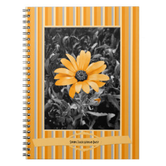 Color Splash Spring Flash African Daisy Photograph Notebook