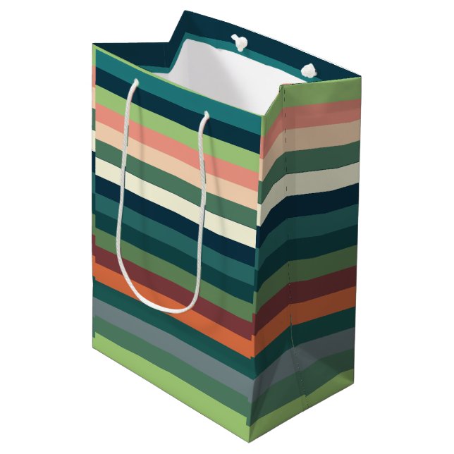 Color Stripes  Medium Gift Bag (Front Angled)