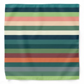 Color Stripes Pattern 