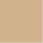 color tan cutout<br><div class="desc">color tan D2B48C type of brown</div>