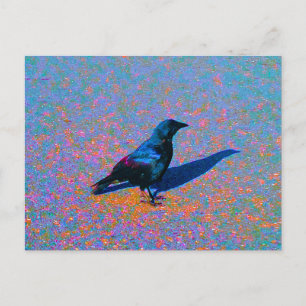 Color the Crow Postcard
