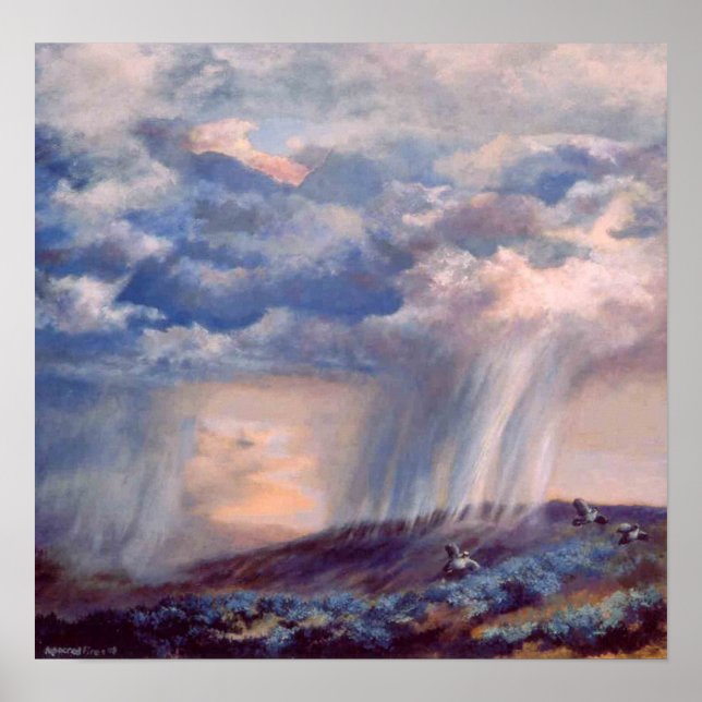 Color Thunderstorm Quail Poster (Front)