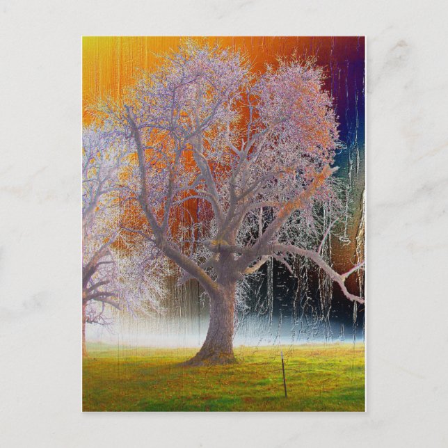 Color Tree Postcard (Front)