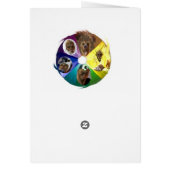 Color Wheel 2 Cards (Back)