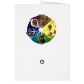 Color Wheel Cards (Back)
