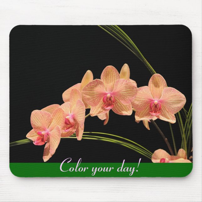 Color your day! mouse pad (Front)