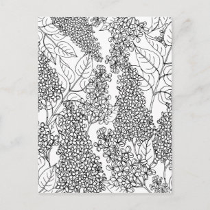 Color Your Own Lilac Flowers Postcard