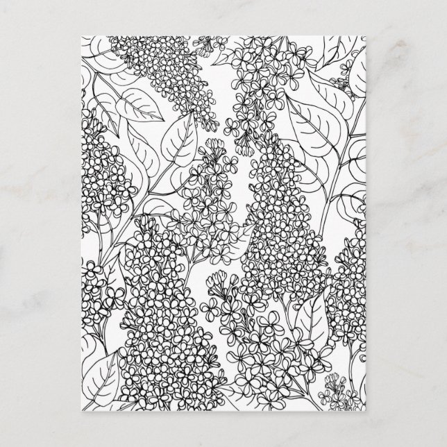 Color Your Own Lilac Flowers Postcard (Front)