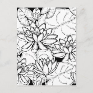 Color Your Own Lotus Flowers Postcard