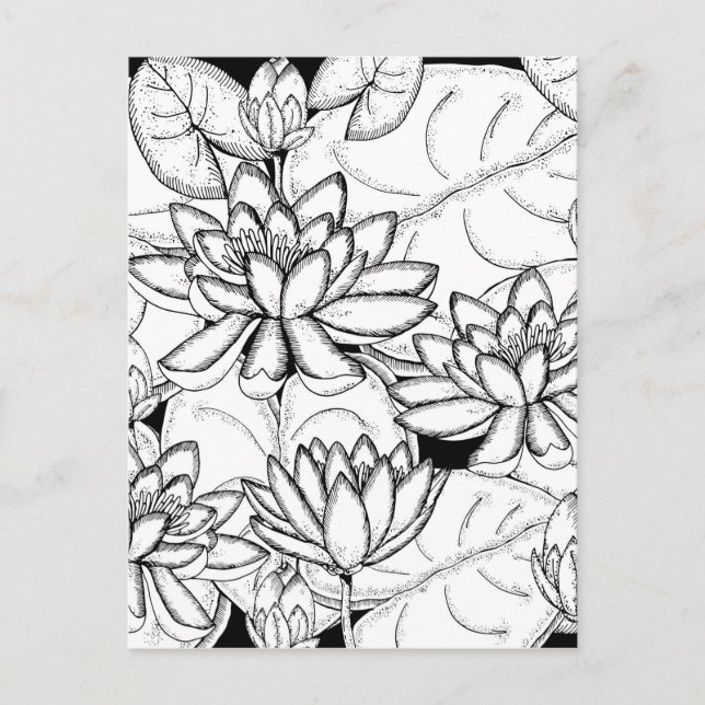 Color Your Own Lotus Flowers Postcard (Front)
