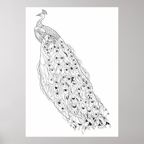 Color Your Own Peacock Adult Coloring Poster
