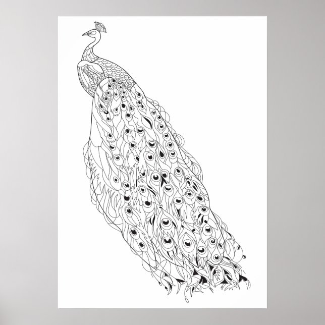 Color Your Own Peacock Adult Coloring Poster (Front)