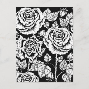 Color Your Own Roses Postcard