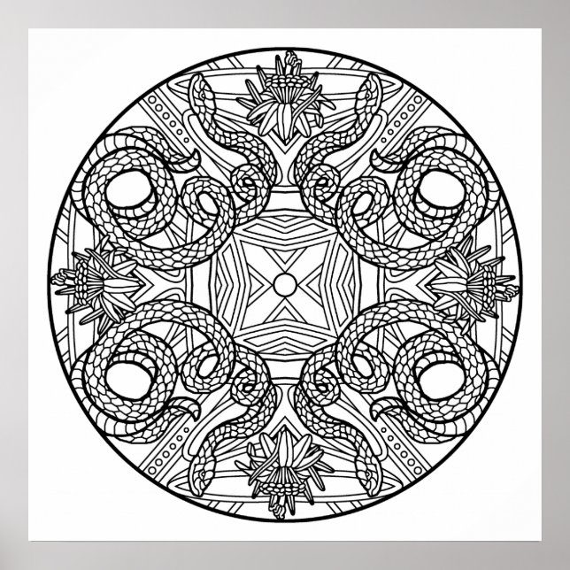 Color Your Own Snakes Mandala Coloring Poster (Front)