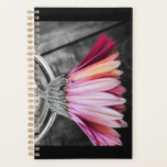 Color Your Year Planner<br><div class="desc">Color burst flower planner</div>