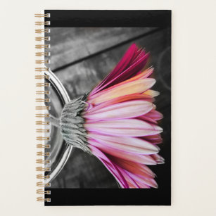 Color Your Year Planner
