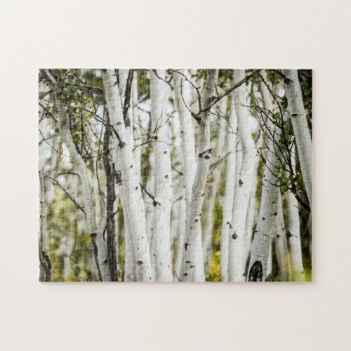 Colorado Aspen Tree Photos Picture Jigsaw Puzzles