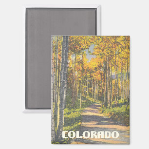 Colorado Aspen Trees Along Path Vintage Magnet