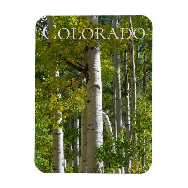 Colorado Aspens Designer Fridge Magnet (Vertical)