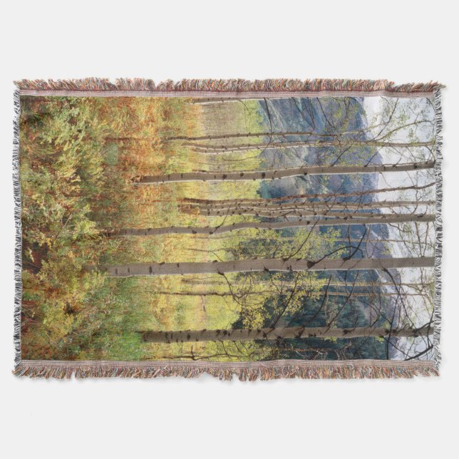 Colorado, Autumn colors of aspen trees Throw Blanket (Front)