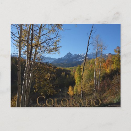 Colorado Autumn  Postcard