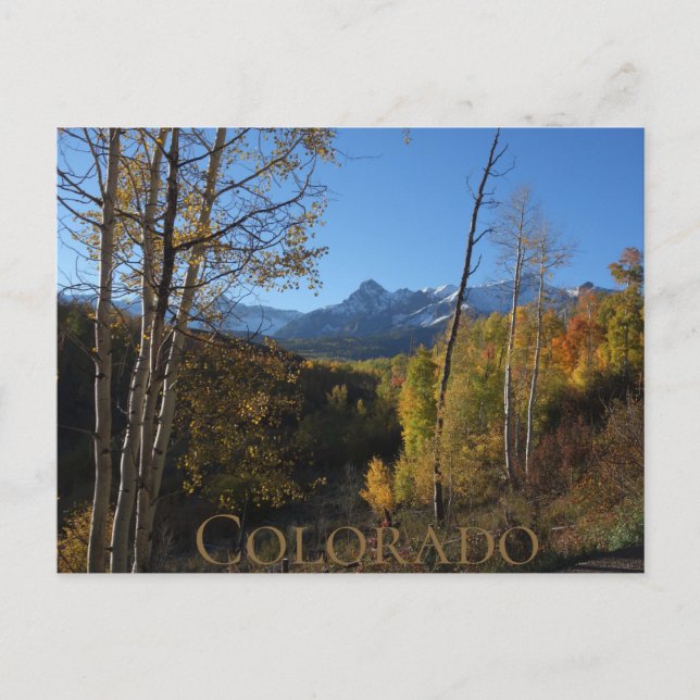 Colorado Autumn  Postcard (Front)