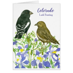 Colorado Birds Watercolor Buntings Pen Pal