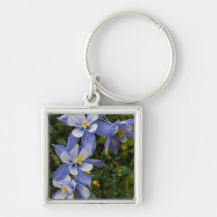 Colorado Blue Columbine near Telluride Colorado Keychain