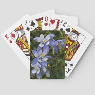 Colorado Blue Columbine near Telluride Colorado Poker Cards