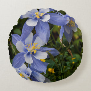 Colorado Blue Columbine near Telluride Colorado Round Pillow