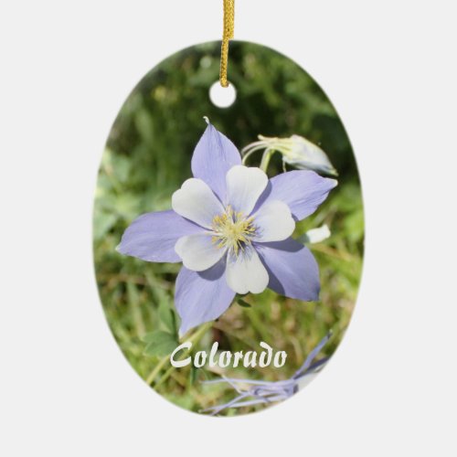 Colorado Blue Columbine Ornament