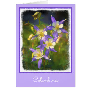 Colorado Blue Columbine Painting - Original Art Cards