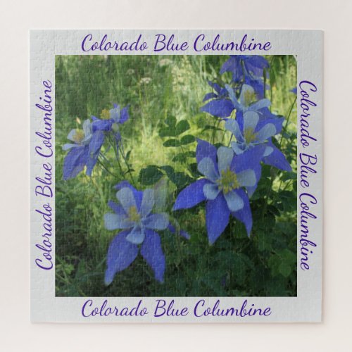 Colorado Blue Columbine Wildflower Puzzle