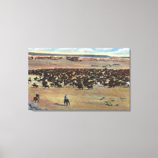Colorado - Cowboys Rounding Canvas Print (Front)
